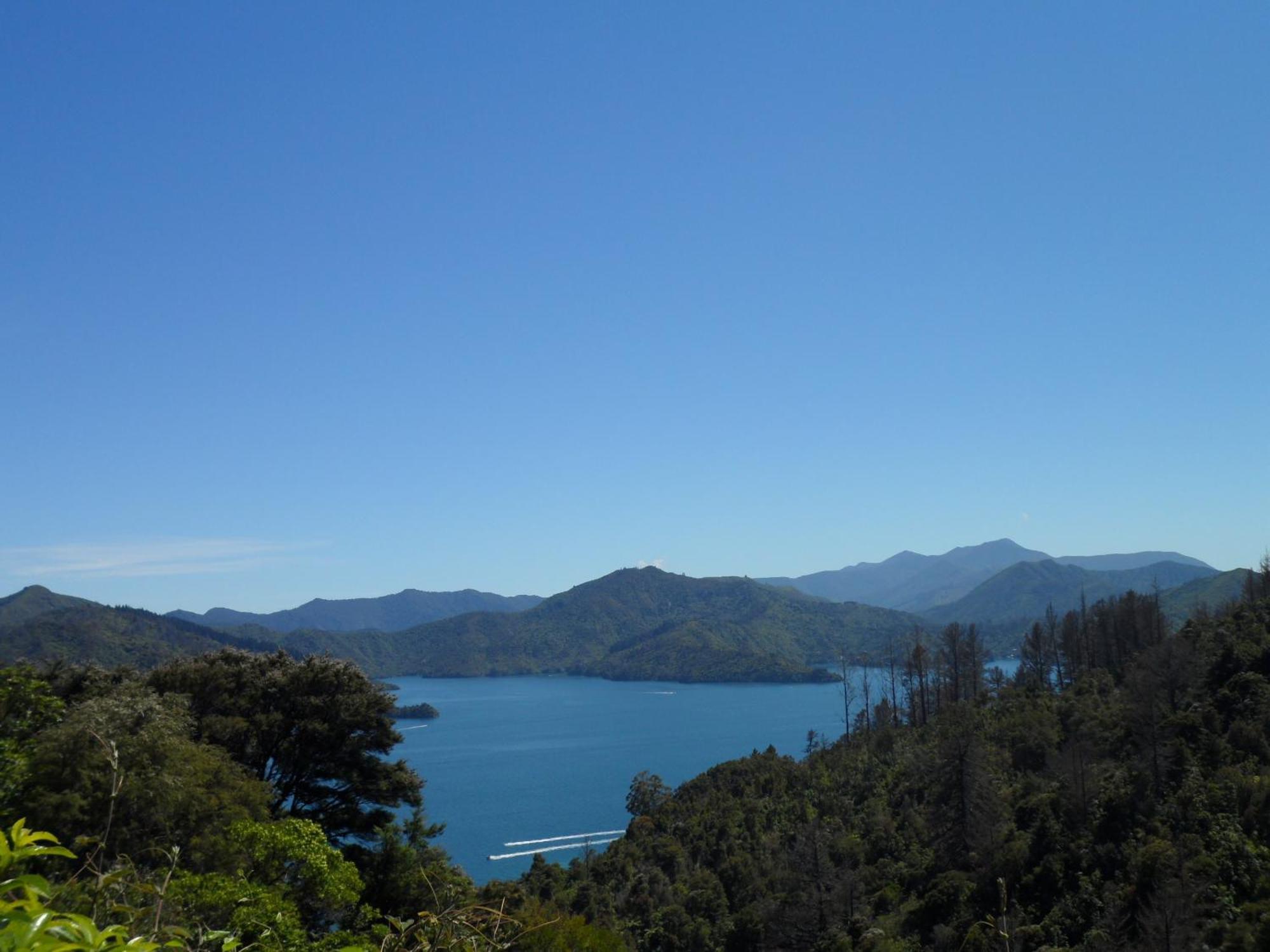 Sequoia Backpackers Picton